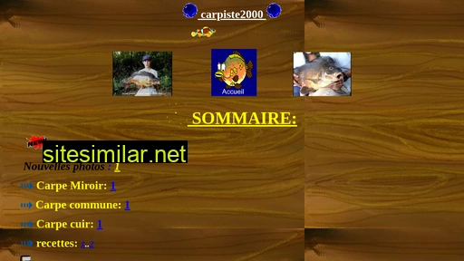 carpiste2000.free.fr alternative sites
