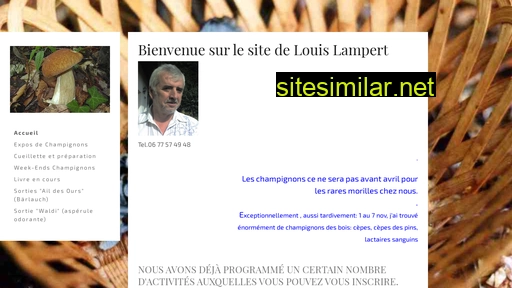 champilouis.fr alternative sites