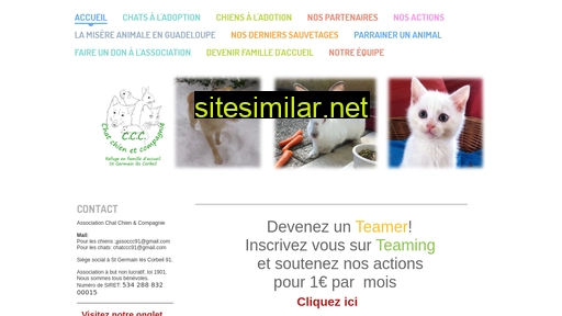 chatchienetcompagnie.fr alternative sites