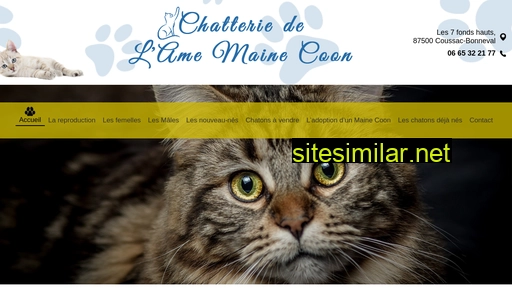 chatterie-lame-mainecoon.fr alternative sites