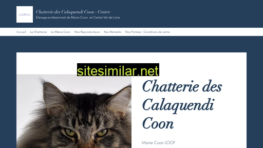 chatteriedescalaquendicoon.fr alternative sites