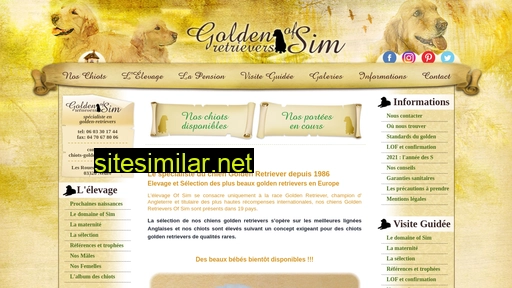 chiots-golden-retrievers.fr alternative sites
