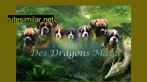 chien-boxer.fr alternative sites