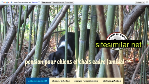 Chiens-au-vert66 similar sites