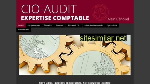 Cio-audit similar sites