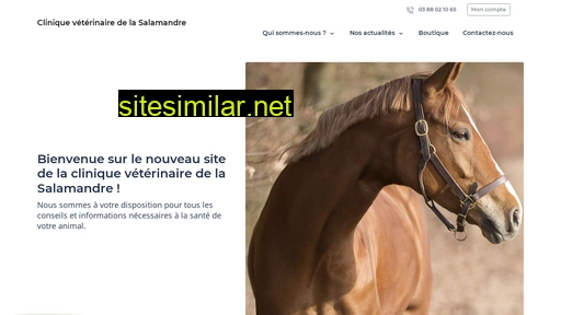 cliniquedelasalamandre.fr alternative sites