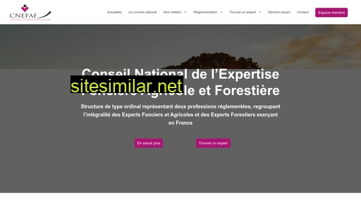 cnefaf.fr alternative sites