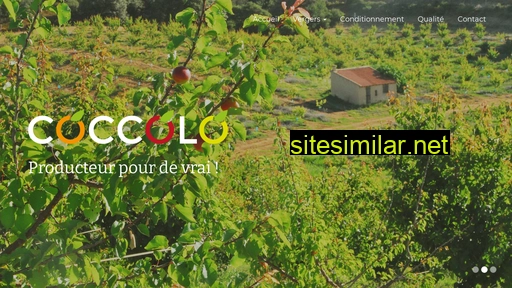 coccolo.fr alternative sites