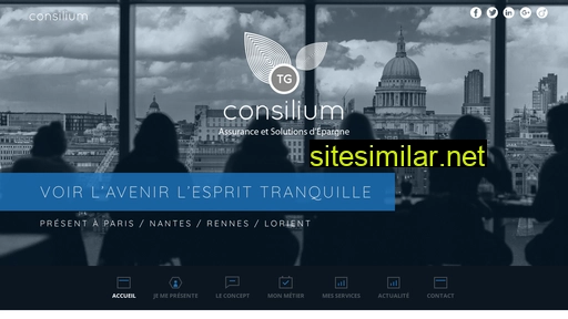 consilium-france.fr alternative sites