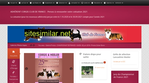corgis-heeler.fr alternative sites