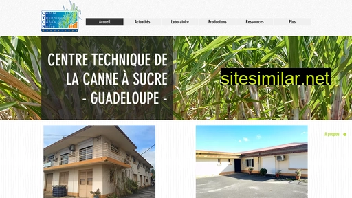 ctcs-gp.fr alternative sites