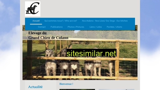 culann.fr alternative sites