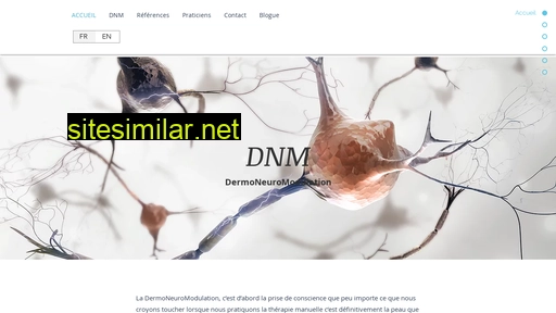 dermoneuromodulation.fr alternative sites