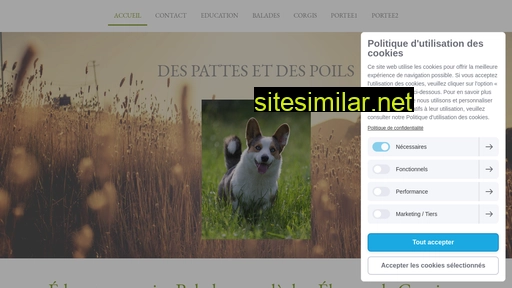 despattesetdespoils.fr alternative sites
