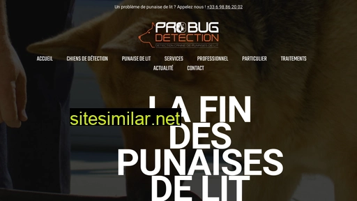 detectionpunaise.fr alternative sites
