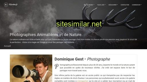 dgestim.fr alternative sites