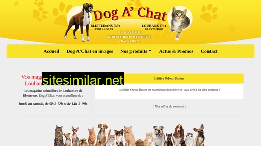 Dogachat similar sites