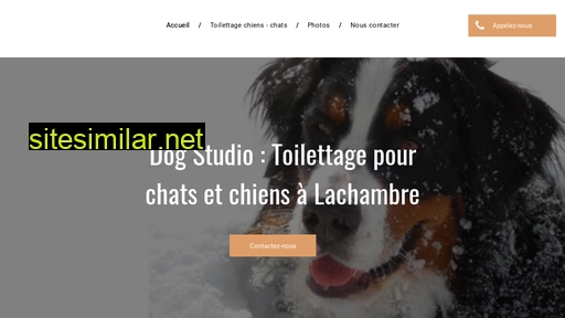 dog-studio-toilettage.fr alternative sites