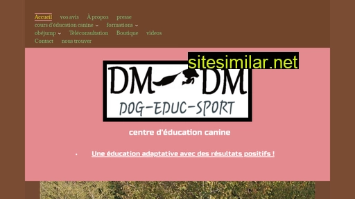 dogeducsport.fr alternative sites