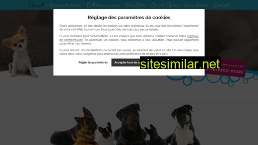 dogstar.fr alternative sites