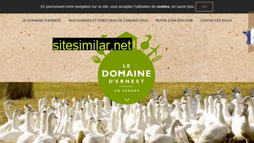 domaine-ernest.fr alternative sites