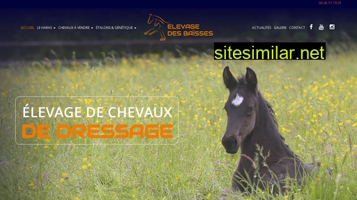 dressage-cheval.fr alternative sites