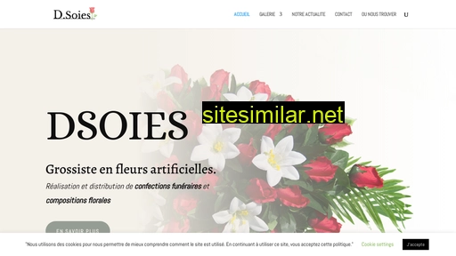 dsoies.fr alternative sites