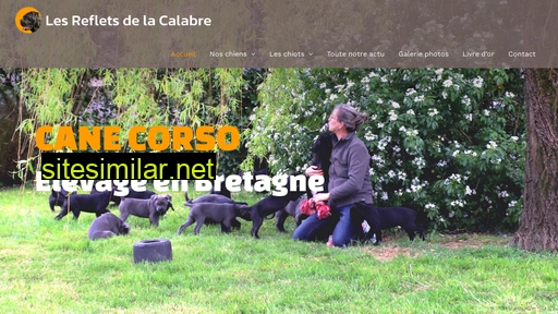 elevage-canin-35.fr alternative sites
