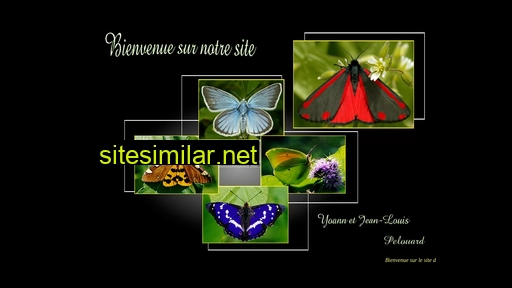 European-lepidopteres similar sites