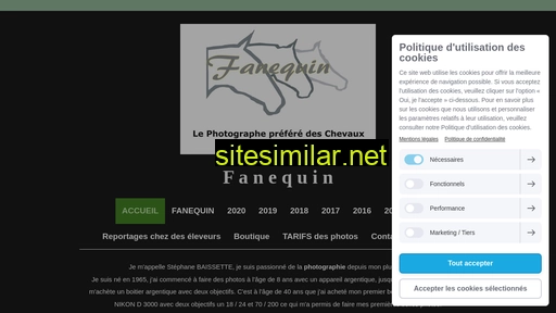 fanequin.fr alternative sites