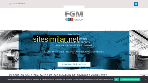 fgm-group.fr alternative sites