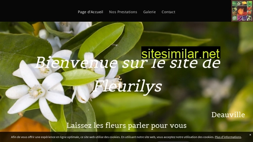 fleurilys.fr alternative sites