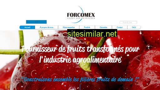 Forcomex similar sites