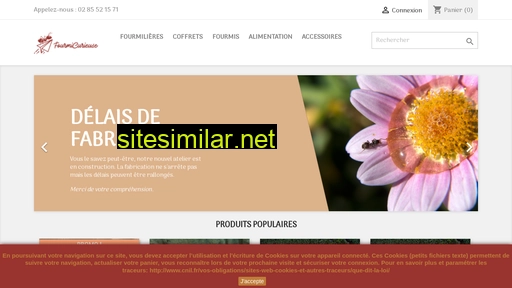 fourmicurieuse.fr alternative sites