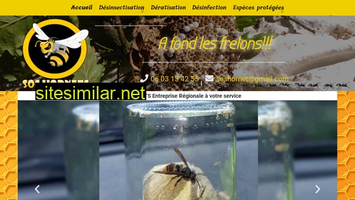 frelons-guepes.fr alternative sites