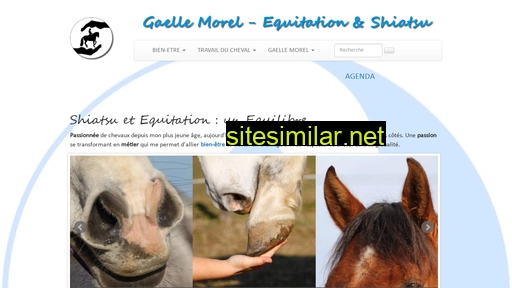 gaelle-morel.fr alternative sites
