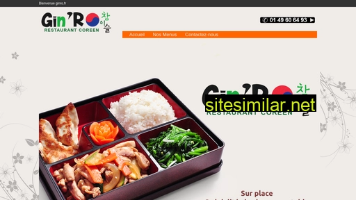 ginro.fr alternative sites