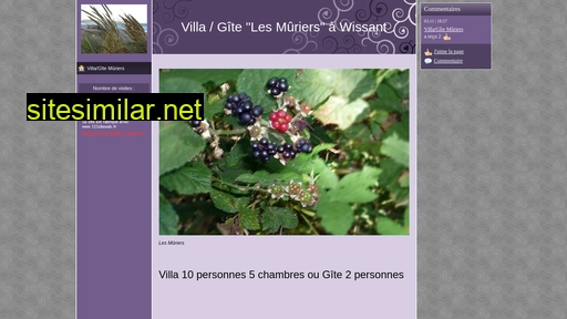 gite-wissant-muriers.fr alternative sites