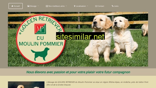 golden-retriever-du-moulin-pommier.fr alternative sites