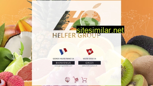 helfergroup.fr alternative sites