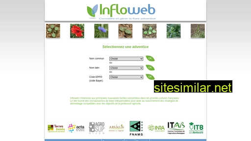 infloweb.fr alternative sites