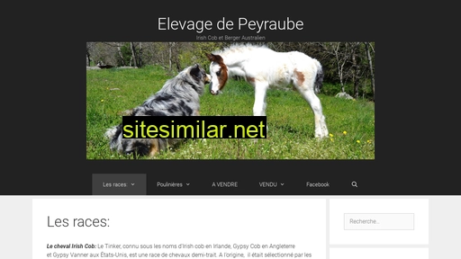 irish-cob-peyraube.fr alternative sites