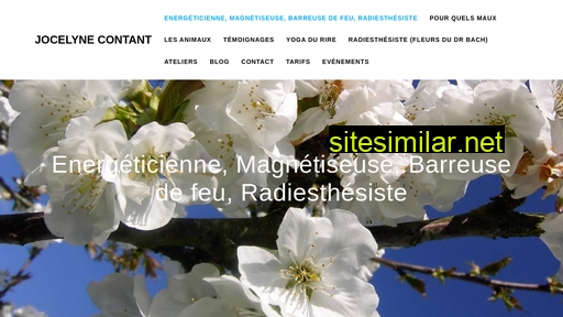 jocelynecontant.fr alternative sites