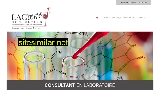 lacoeno-consulting.fr alternative sites