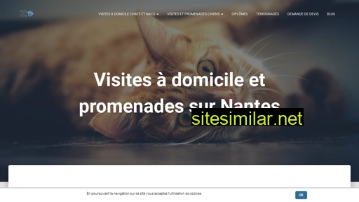 lapattedechat.fr alternative sites