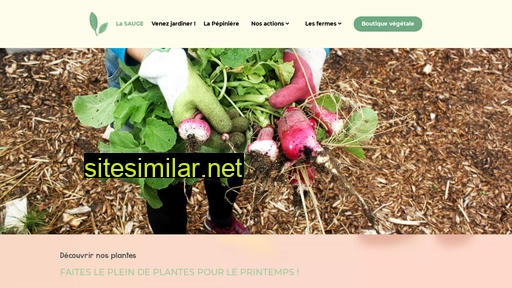 lasauge.fr alternative sites