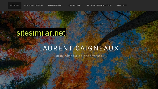 laurentcaigneaux.fr alternative sites
