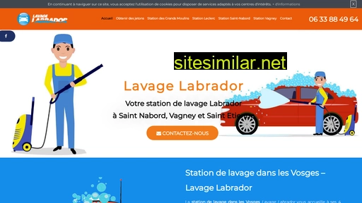 lavage-labrador.fr alternative sites