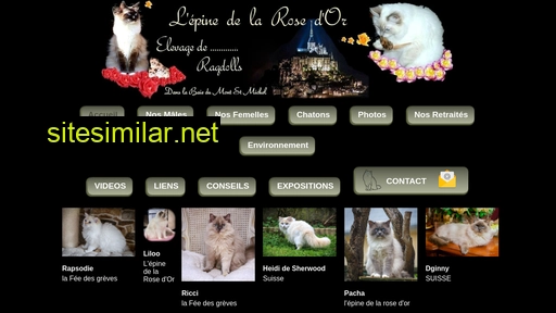 lepinedelarosedor.fr alternative sites