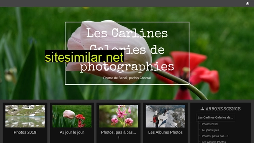 les-carlines.fr alternative sites
